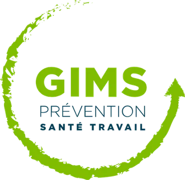 GIMS 13